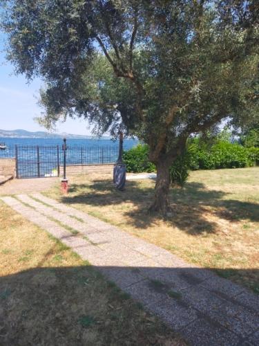 Independent Villa With Private Beach On The Lake Bracciano  Exteriér fotografie