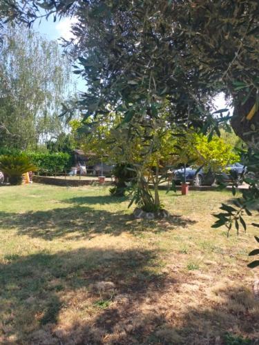 Independent Villa With Private Beach On The Lake Bracciano  Exteriér fotografie