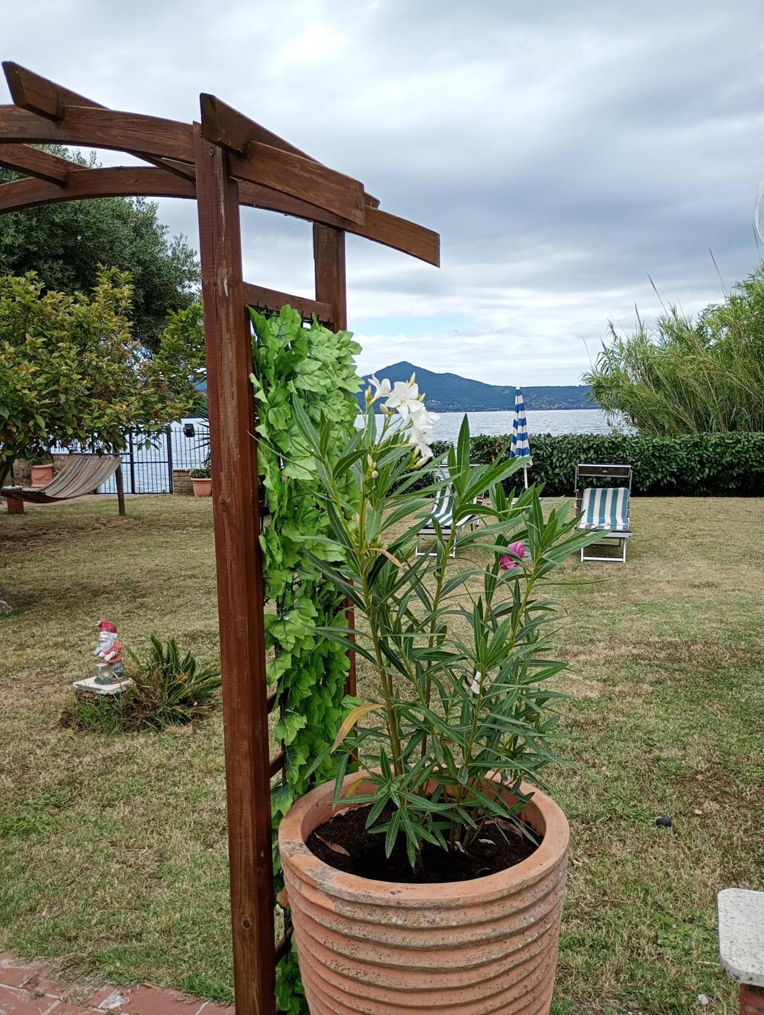 Independent Villa With Private Beach On The Lake Bracciano  Exteriér fotografie